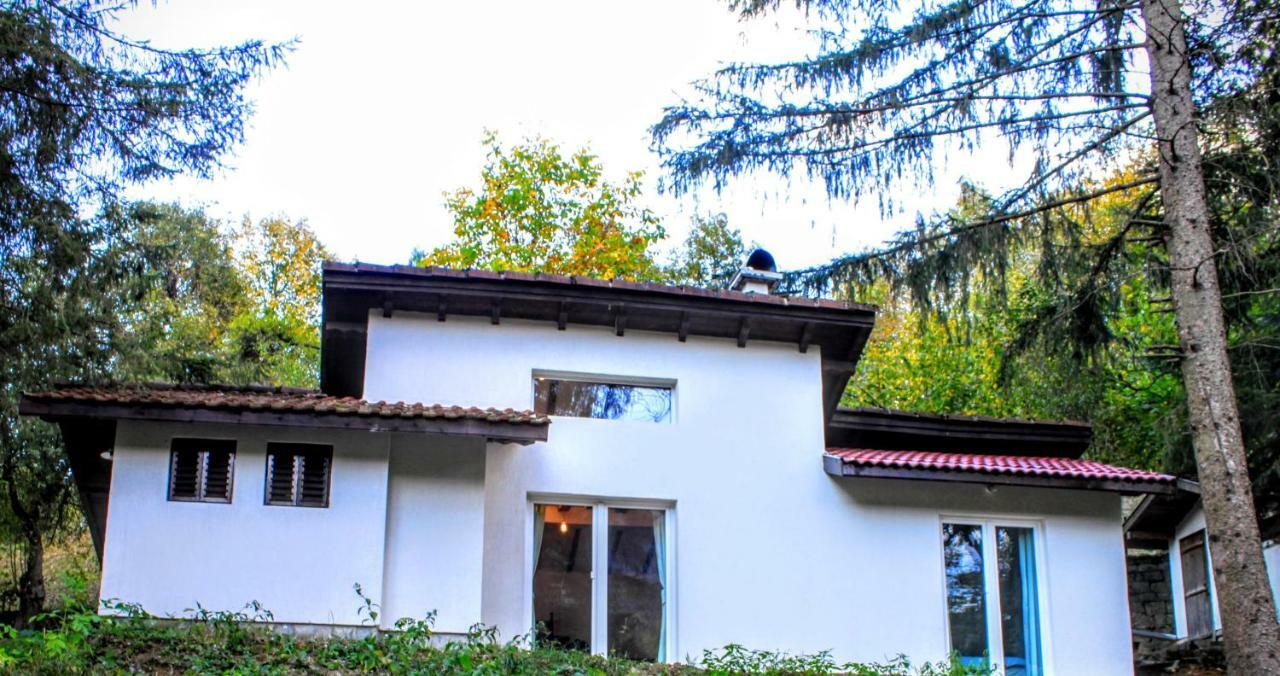 Пе́Трови Вили Ribarica Exteriér fotografie